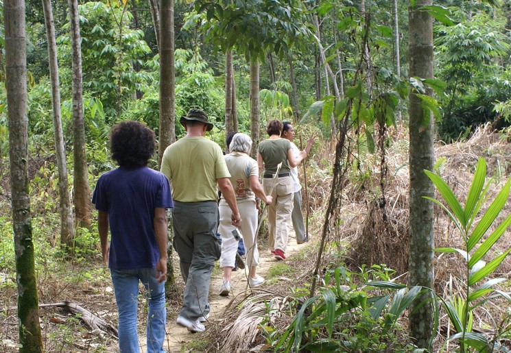 Maak een trekking in Bukit Lawang